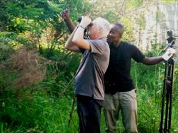 bird watching with guide in Ghana