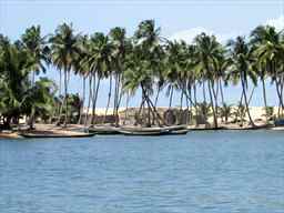 canoes at the beach