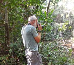 Taking a picture in a forest