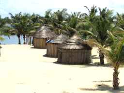 thatched houses at a palm beach ghana